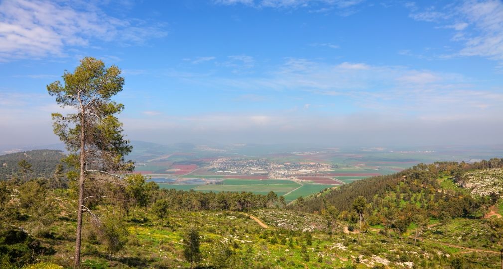 Фото: Shutterstock